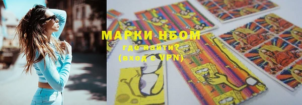 трава Белокуриха
