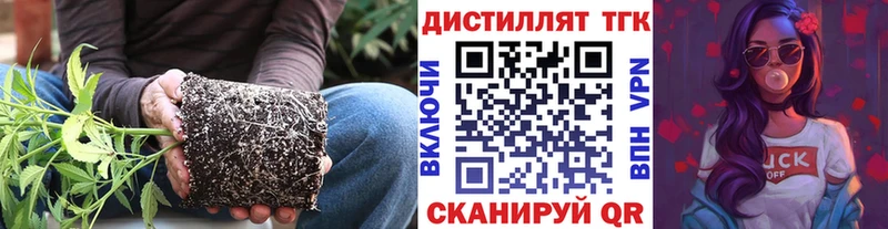блэк спрут сайт  Вятские Поляны  ТГК вейп с тгк 